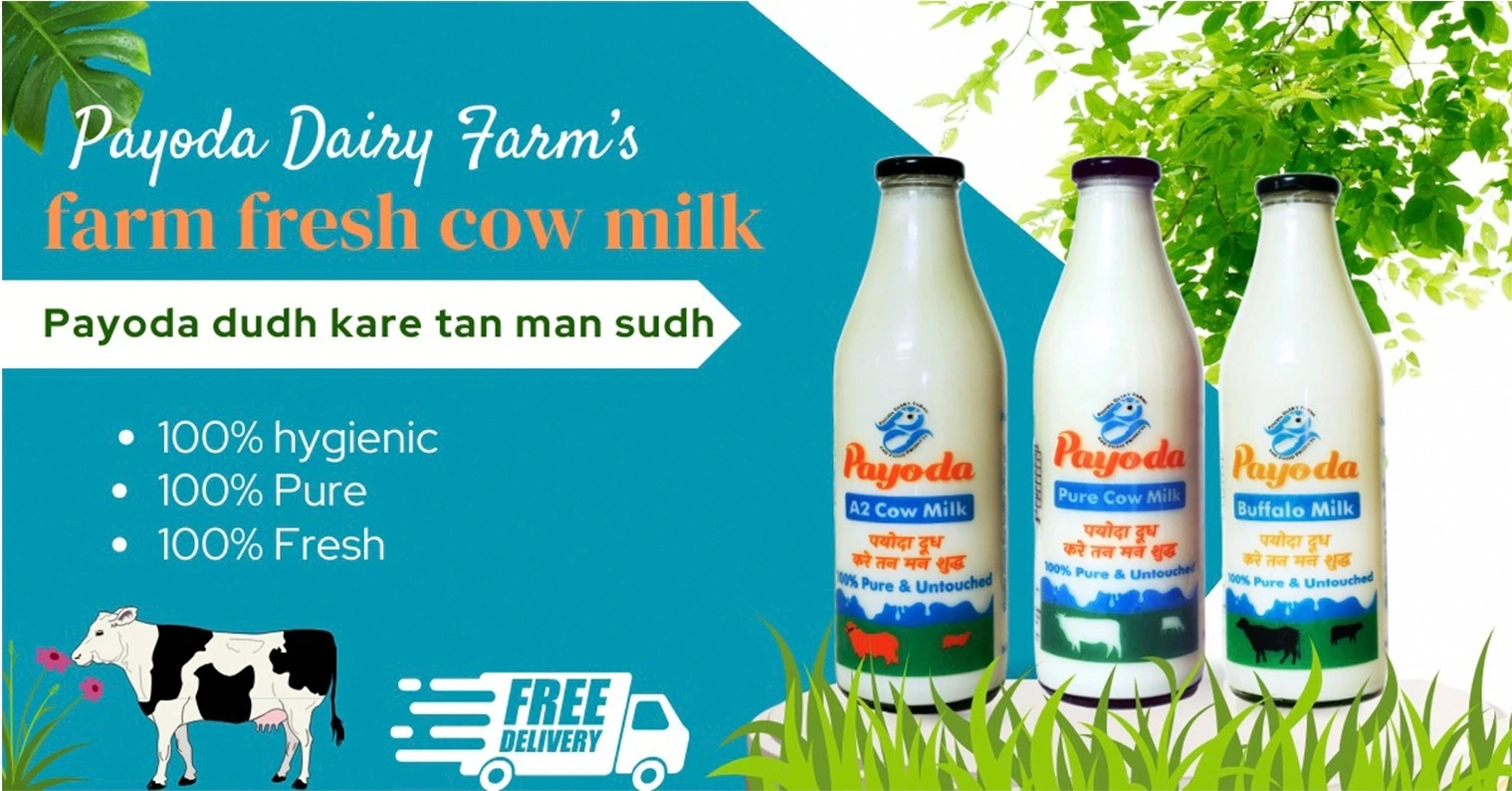 Daily Fresh Milk Delivery Bhiwadi